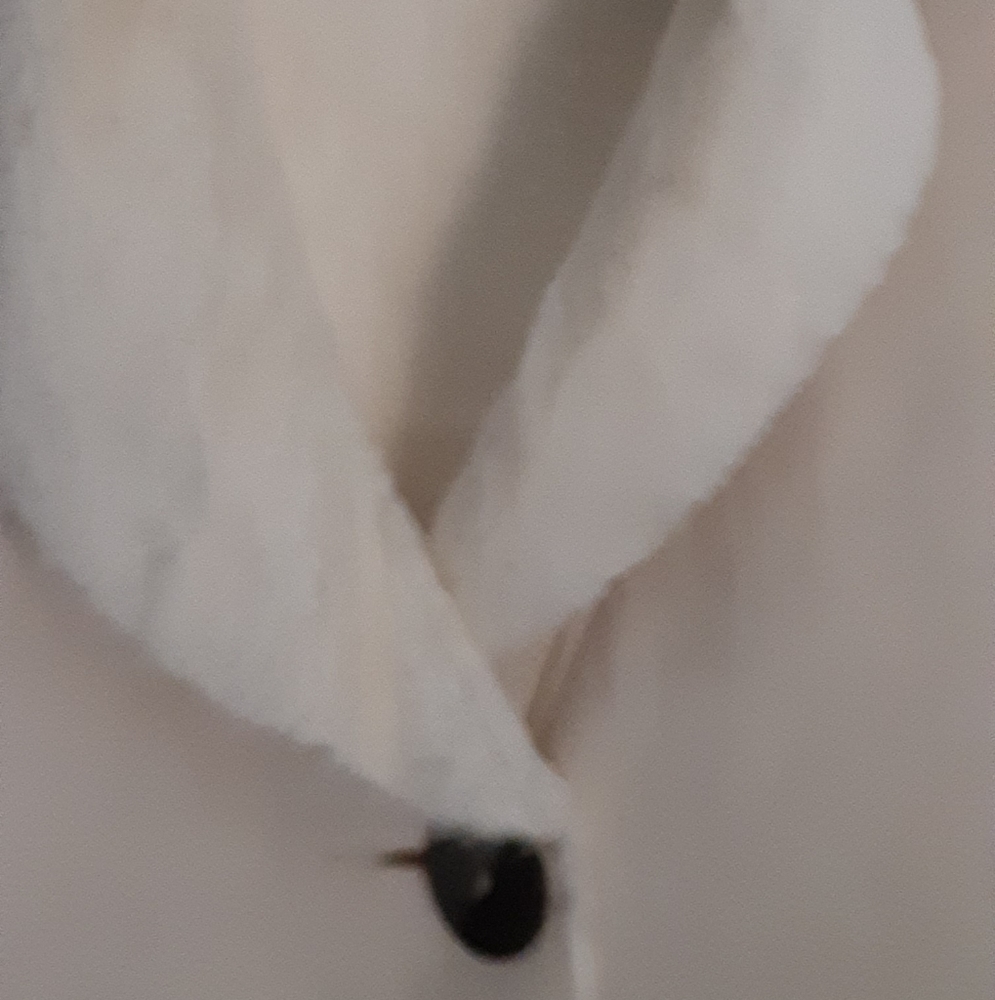 Vest/Jacket - image 2